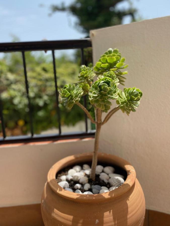 Las Palmeras 3, Nerja Buitenkant foto